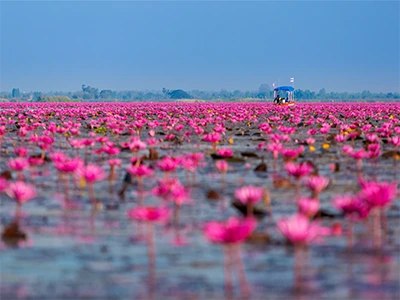 กรุงเทพ - อุดรธานี